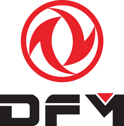 DFM